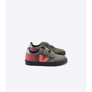 Veja V-12 SUEDE Kids' Sneakers Olive | CA 871MQZ